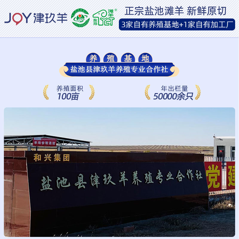 宁夏盐池滩羊肉整只羊六分体现杀羊羔新鲜去皮冷冻全羊烤全羊