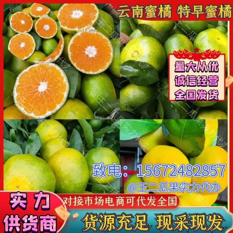 高山蜜橘特早蜜橘湖北蜜桔大芬口感好品质好皮薄化楂大小都有
