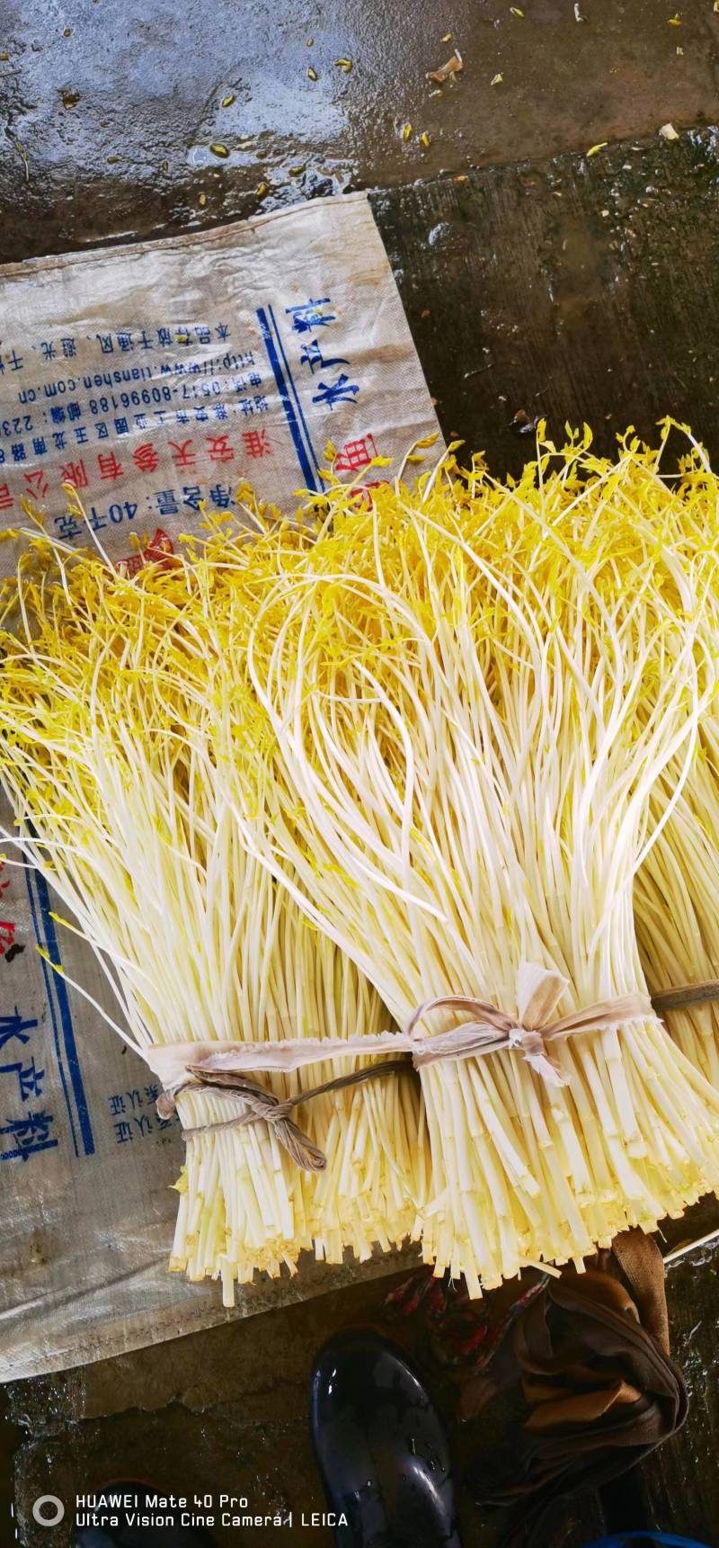江苏本地白芹对接电商市场商超等各类客户