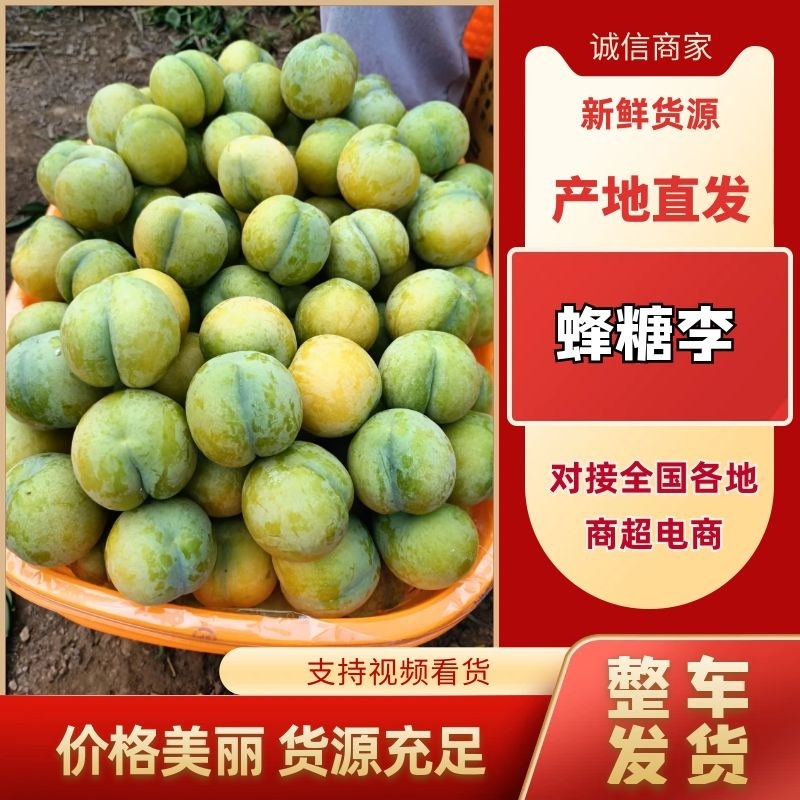 【精品蜂糖李】蜂糖李之乡产地直发新品上市个头大价优