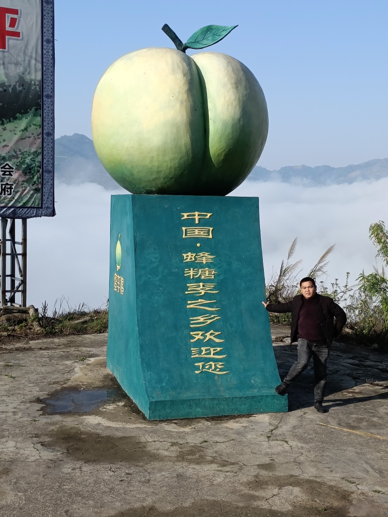 【精品蜂糖李】蜂糖李之乡产地直发新品上市个头大价优