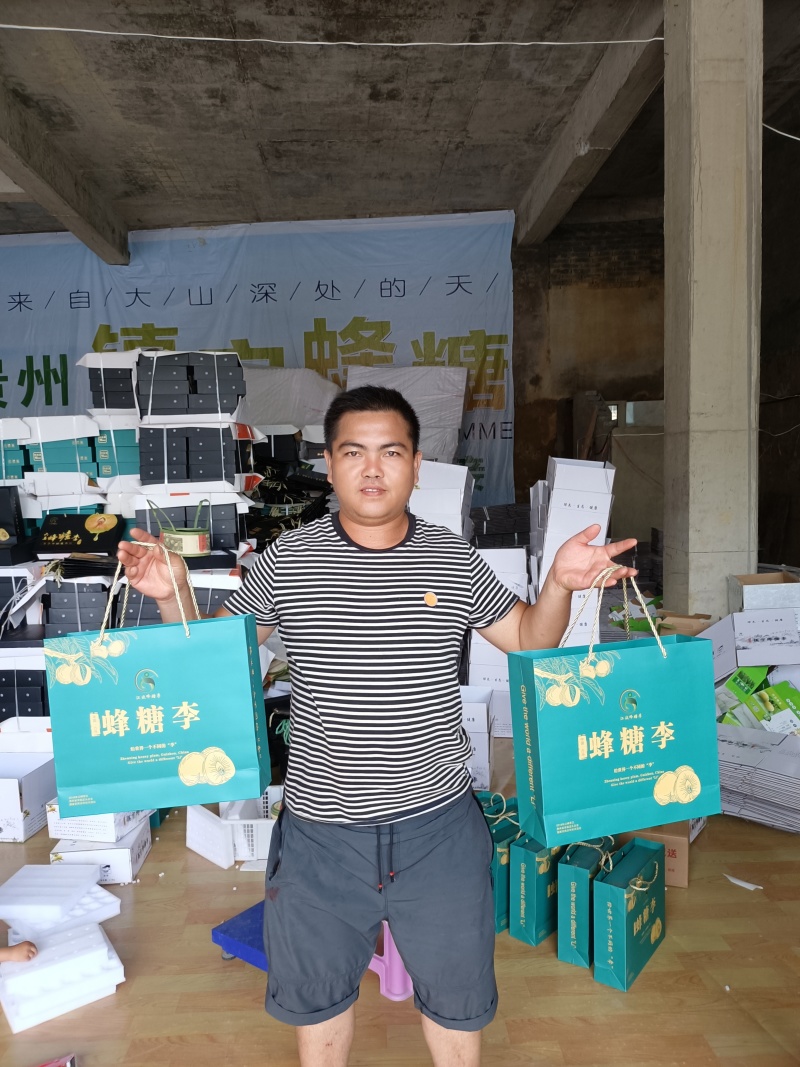 【精品蜂糖李】蜂糖李之乡产地直发新品上市个头大价优