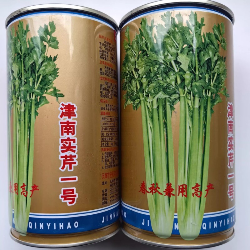 津南实芹芹菜种子叶柄实心厚大鲜嫩抗病抽苔晚基地