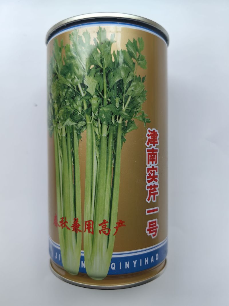 津南实芹芹菜种子叶柄实心厚大鲜嫩抗病抽苔晚基地