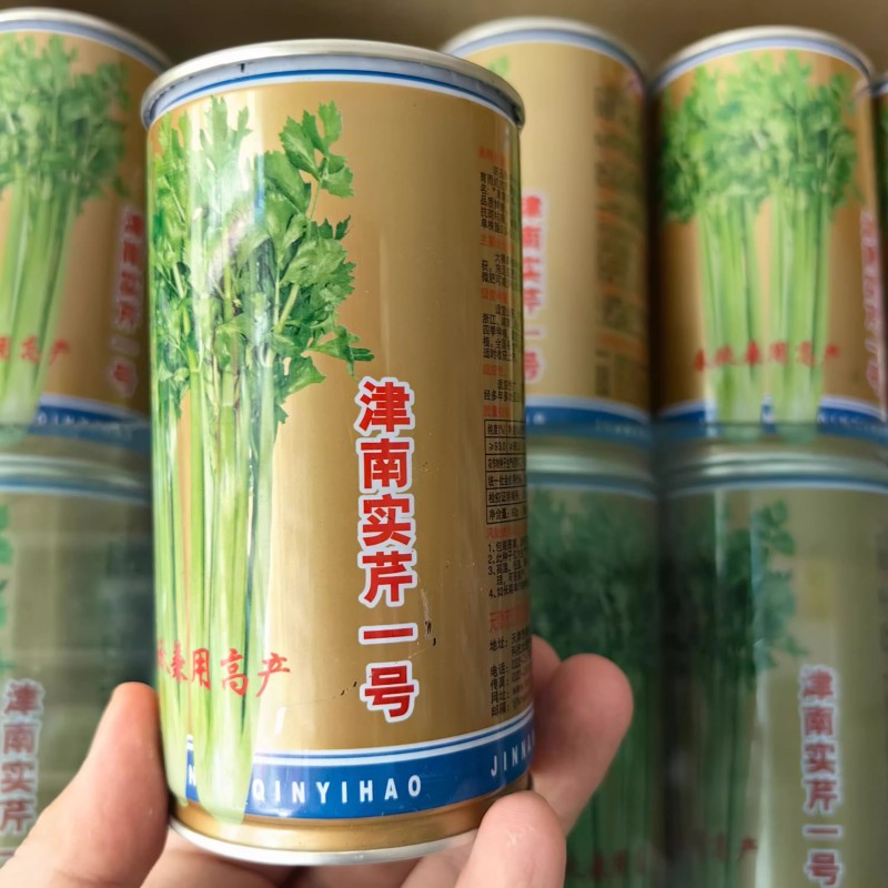 津南实芹芹菜种子叶柄实心厚大鲜嫩抗病抽苔晚基地