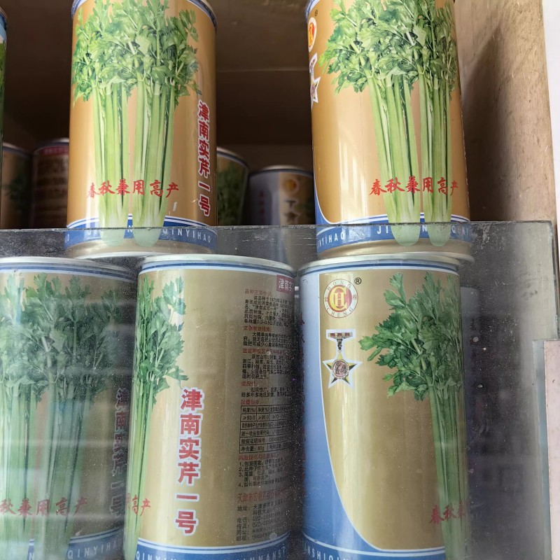津南实芹芹菜种子叶柄实心厚大鲜嫩抗病抽苔晚基地