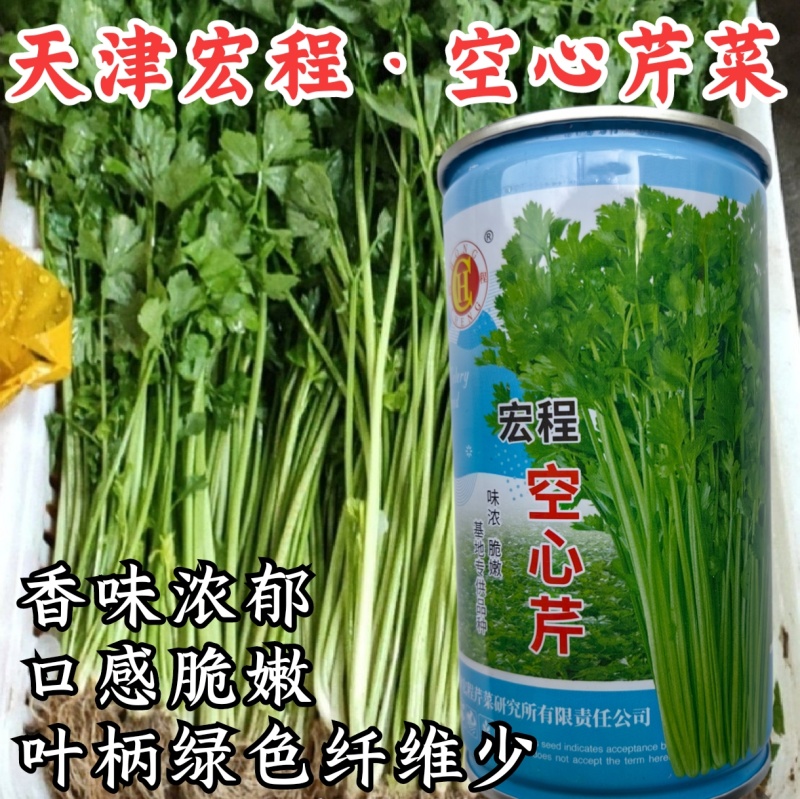 空心芹菜种子绿柄耐热口感脆嫩香味浓郁生长速度快