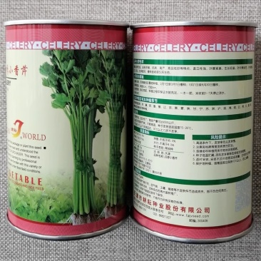 四季小香芹种子实心小芹菜早熟直立性强叶柄嫩绿抗病