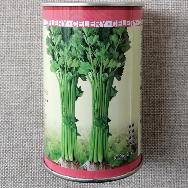 四季小香芹种子实心小芹菜早熟直立性强叶柄嫩绿抗病