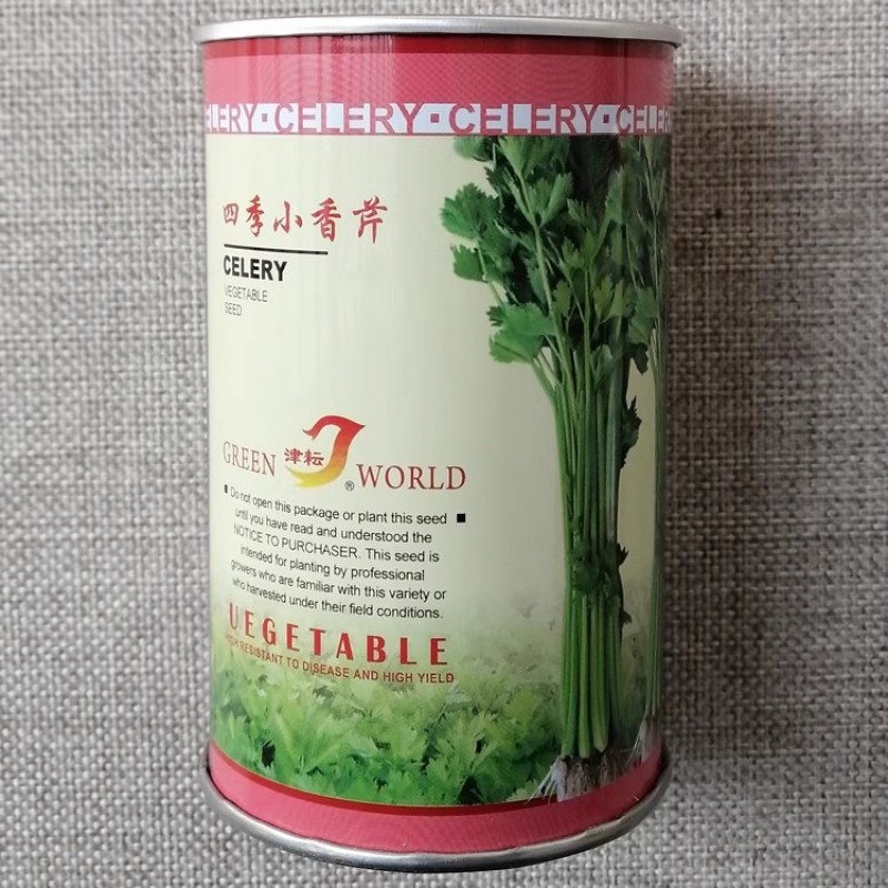 四季小香芹种子实心小芹菜早熟直立性强叶柄嫩绿抗病