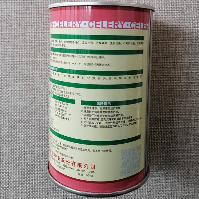 四季小香芹种子实心小芹菜早熟直立性强叶柄嫩绿抗病