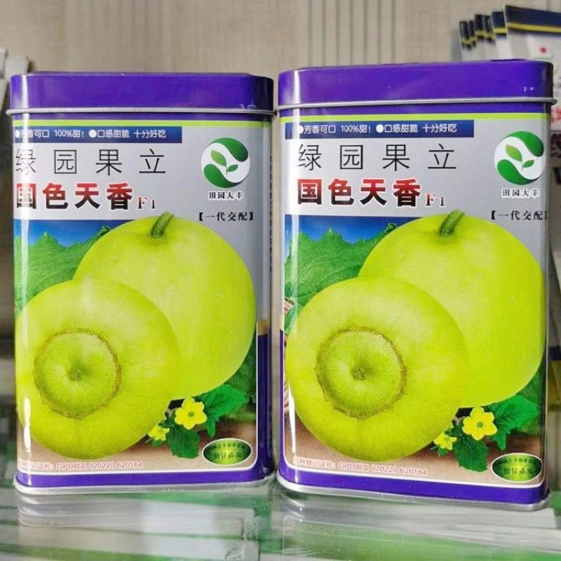 国色天香甜蜜蜜甜宝甜瓜种子大棚露地早熟抗病绿黄皮高糖