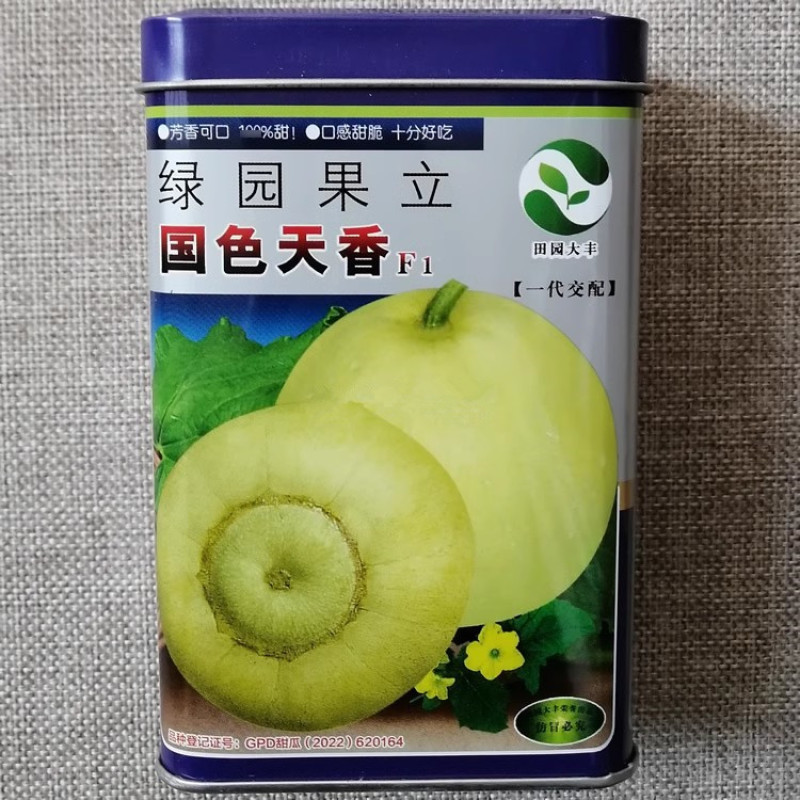 国色天香甜蜜蜜甜宝甜瓜种子大棚露地早熟抗病绿黄皮高糖