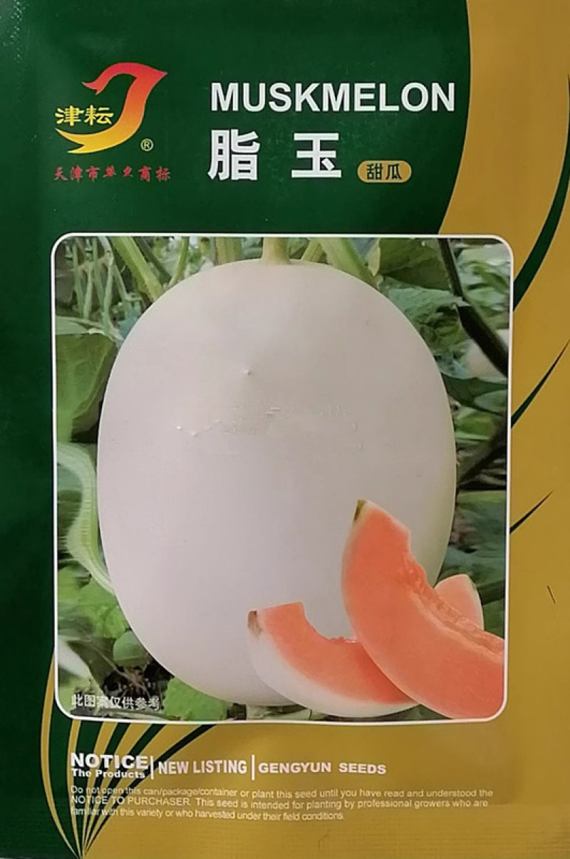 虹玉甜瓜种子新育成甜瓜品种高圆型甜香柔滑抗病