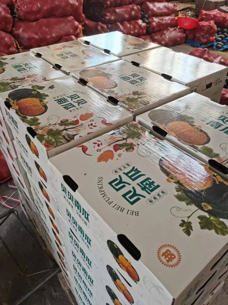贝贝南瓜一件代发、团购（一年四季）