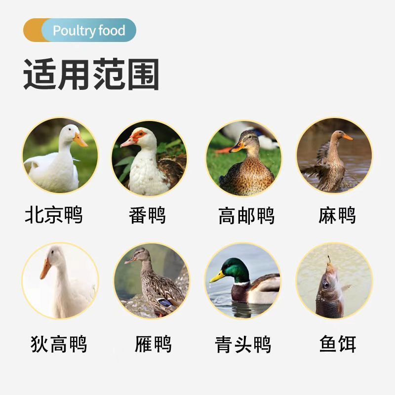 鸭饲料喂鸭颗粒料中大小鸭食全价营养宠物鸭