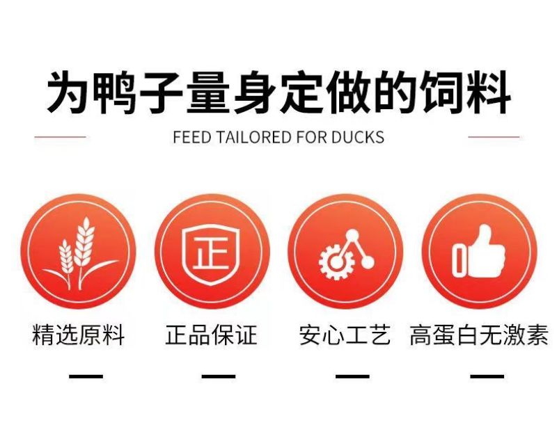鸭饲料喂鸭颗粒料中大小鸭食全价营养宠物鸭