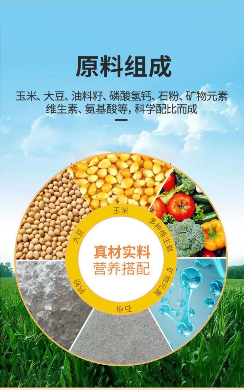 鸭饲料喂鸭颗粒料中大小鸭食全价营养宠物鸭