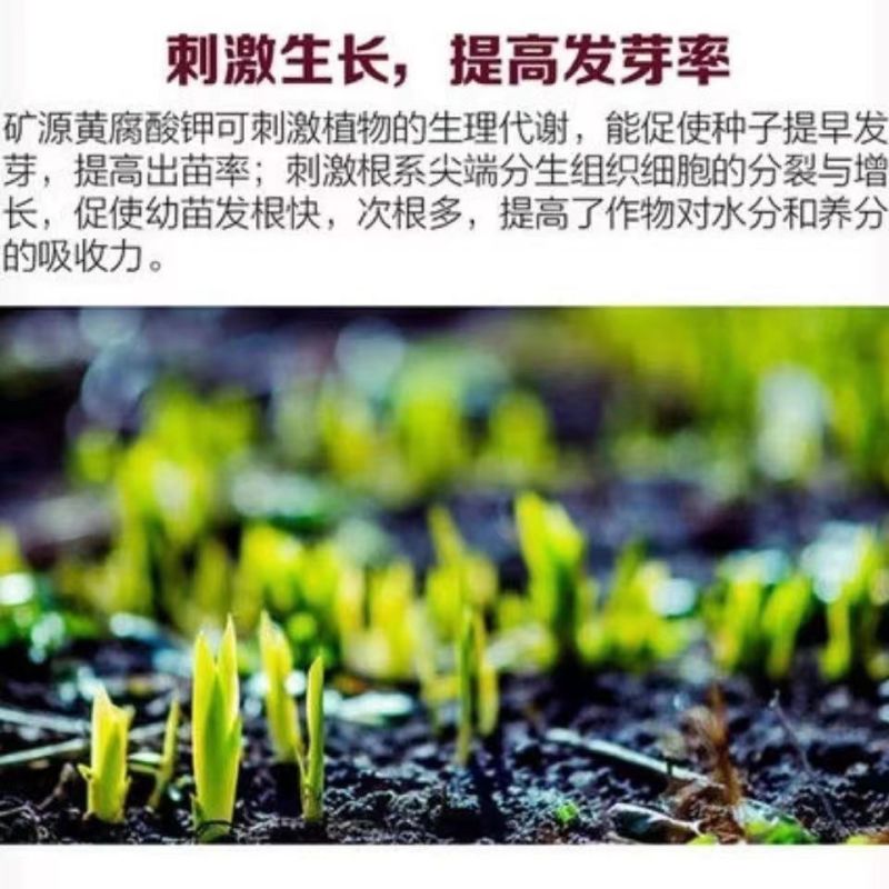 生根壮苗剂黄腐酸钾腐植酸微生物菌剂矿源黄腐酸钾