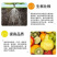 生根壮苗剂黄腐酸钾腐植酸微生物菌剂矿源黄腐酸钾