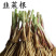 新韭菜根苗紫根宽叶红根四季细叶韭菜根批发盆栽室内阳台蔬菜