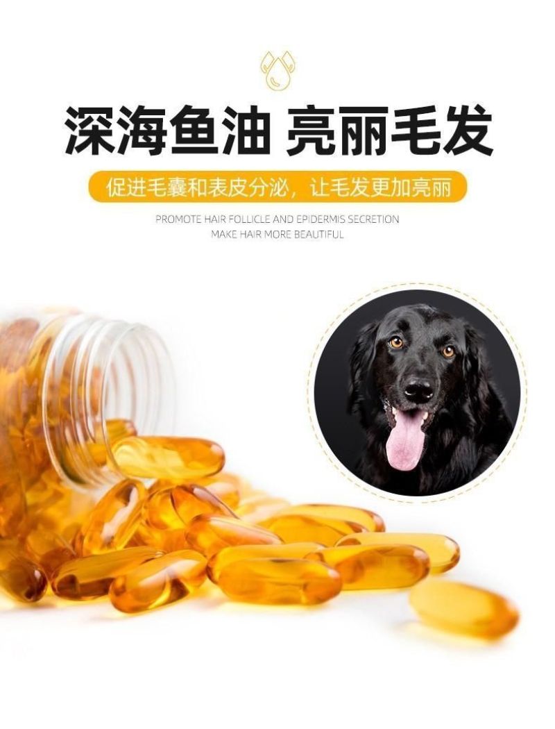 狗粮麦蔻迪经典高蛋白冻干长肉5斤装大袋低温幼犬通用
