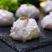 仟岛凰虾滑麻辣烫关东煮火锅串串冒菜商用食材