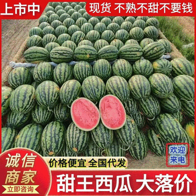 《推荐》甜王西瓜陕西甜王包熟包甜规格齐全可全国代发