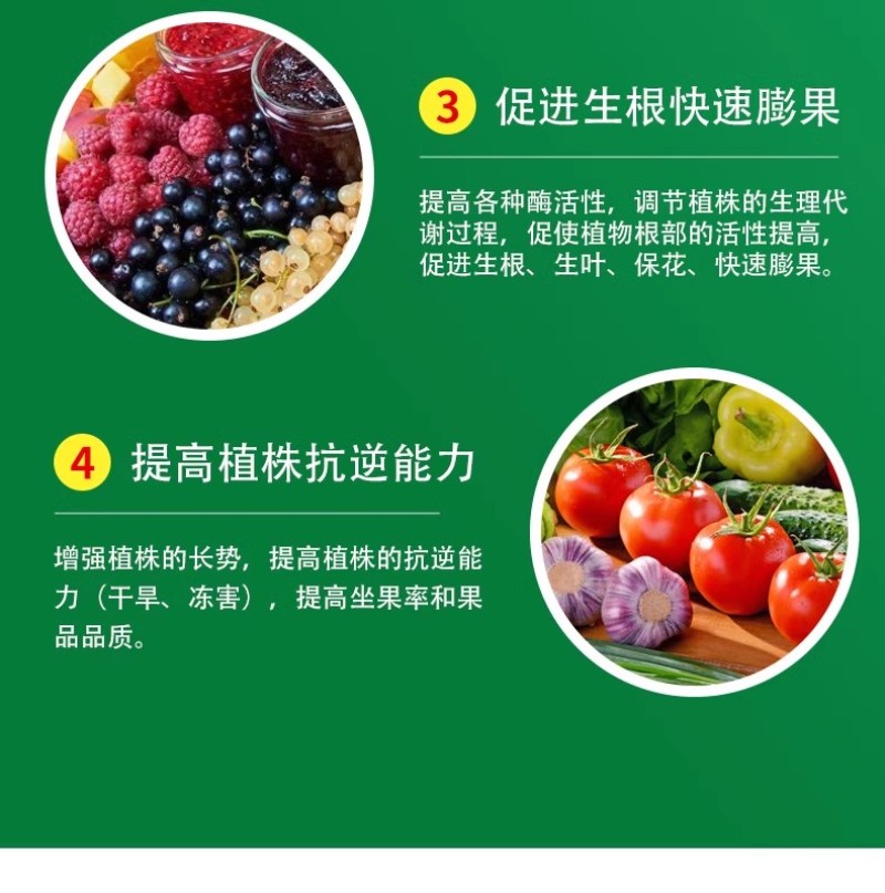 叶绿素控旺不徒长叶面肥快速吸收促花芽分化增花保果提质增产