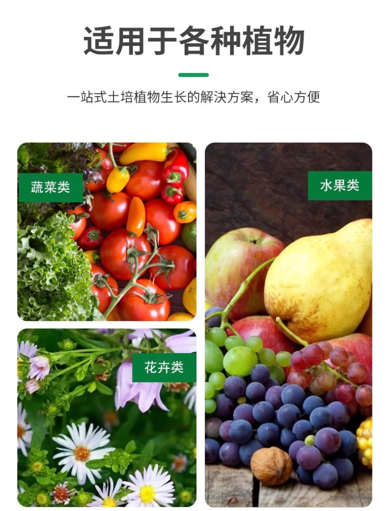 叶绿素控旺不徒长叶面肥快速吸收促花芽分化增花保果提质增产