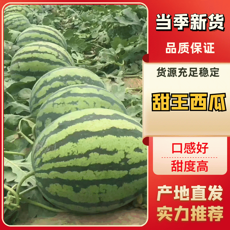 甜王西瓜，大量订货供应中，品质好，口感好，皮毛好。
