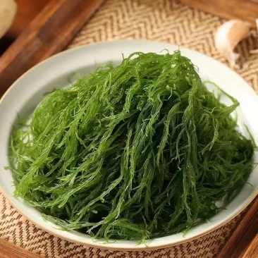 霞浦产地直发龙须菜资质齐全凉拌菜天然海草鲜脆爽口