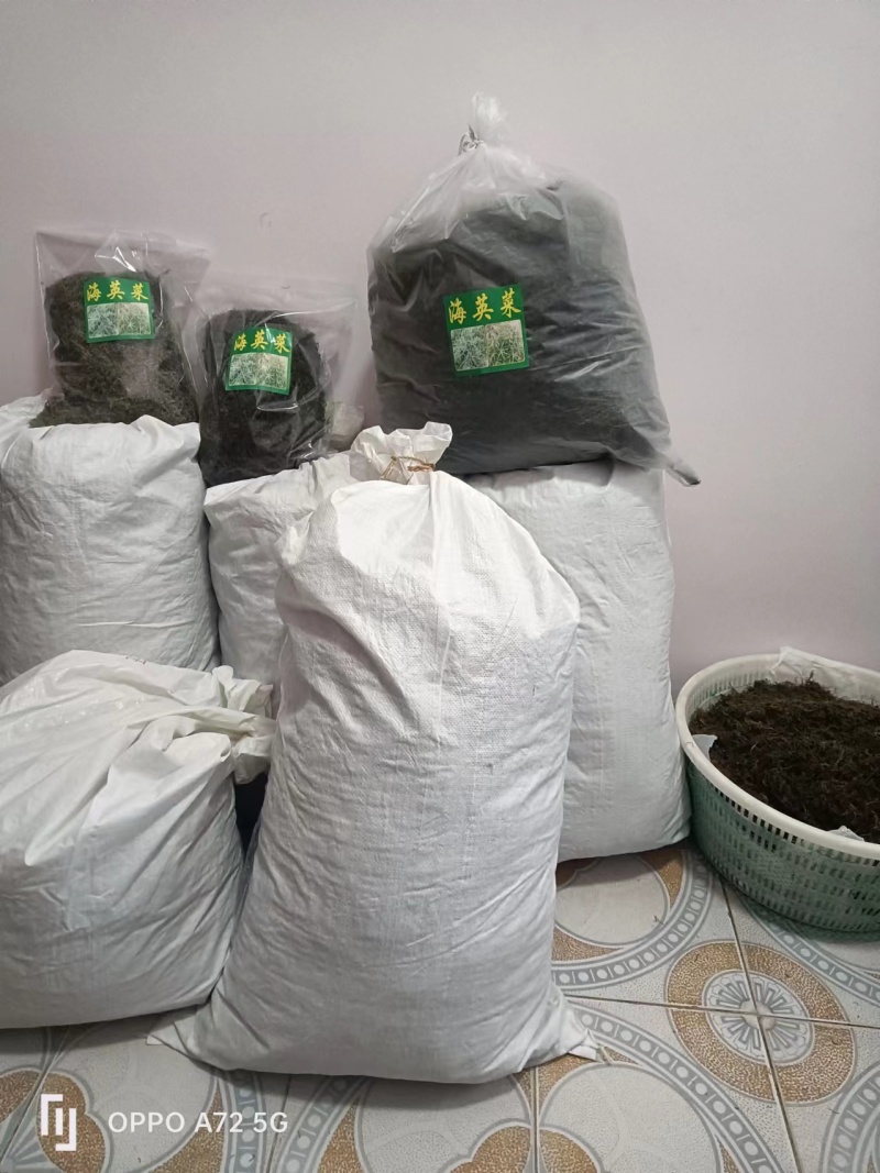 天然海英菜碱蓬草江苏产地直发质量保证一手货源欢迎订购