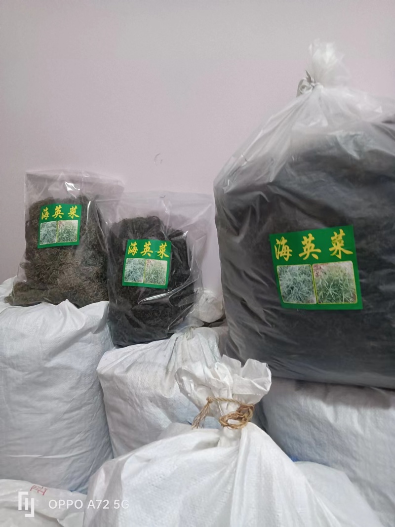 天然海英菜碱蓬草江苏产地直发质量保证一手货源欢迎订购