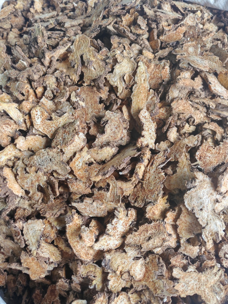 辽宁朱砂点苍术关苍术白茬苍术品种齐全