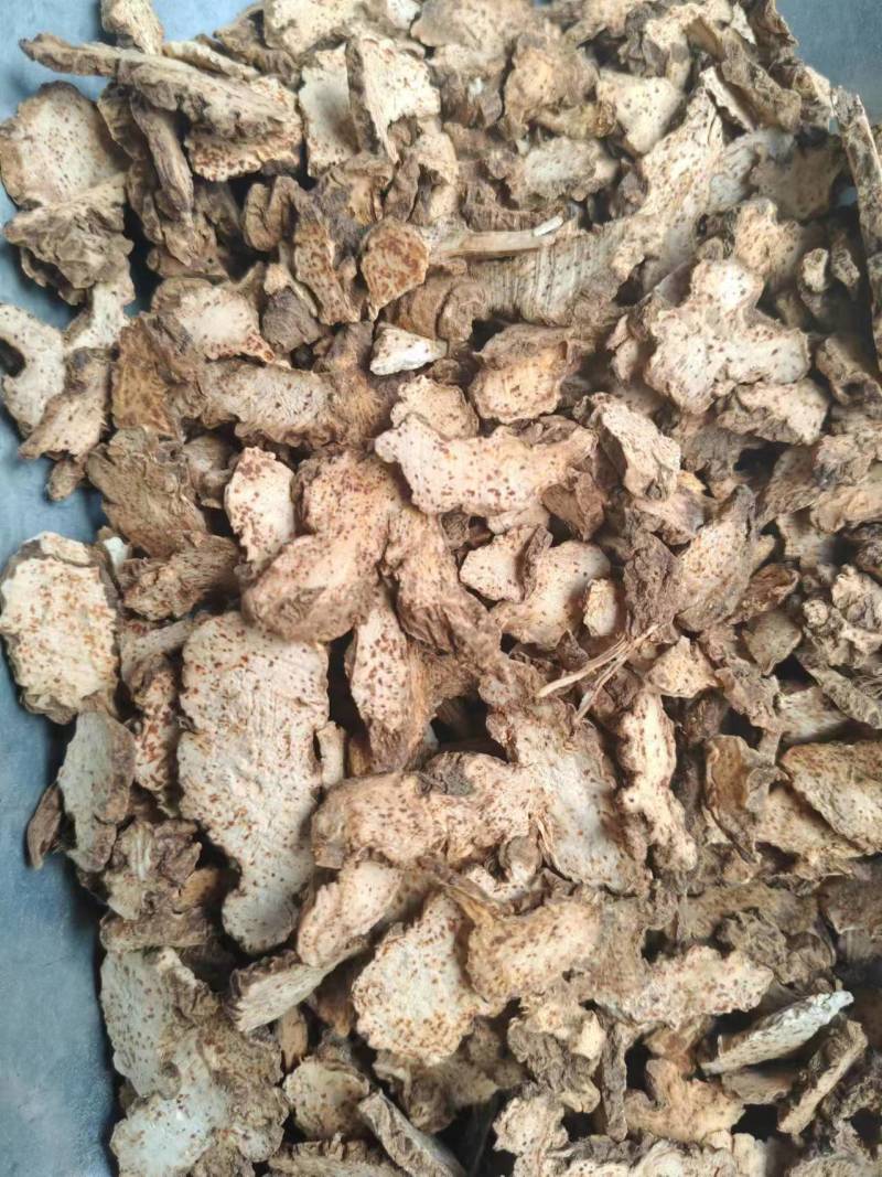 辽宁朱砂点苍术关苍术白茬苍术品种齐全