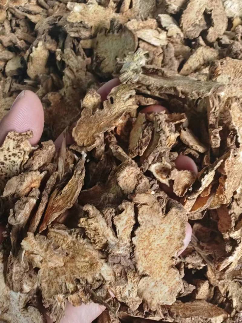辽宁朱砂点苍术关苍术白茬苍术品种齐全