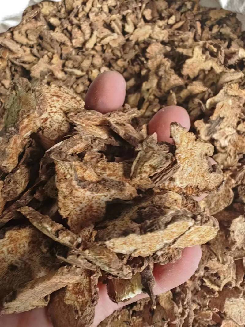 辽宁朱砂点苍术关苍术白茬苍术品种齐全