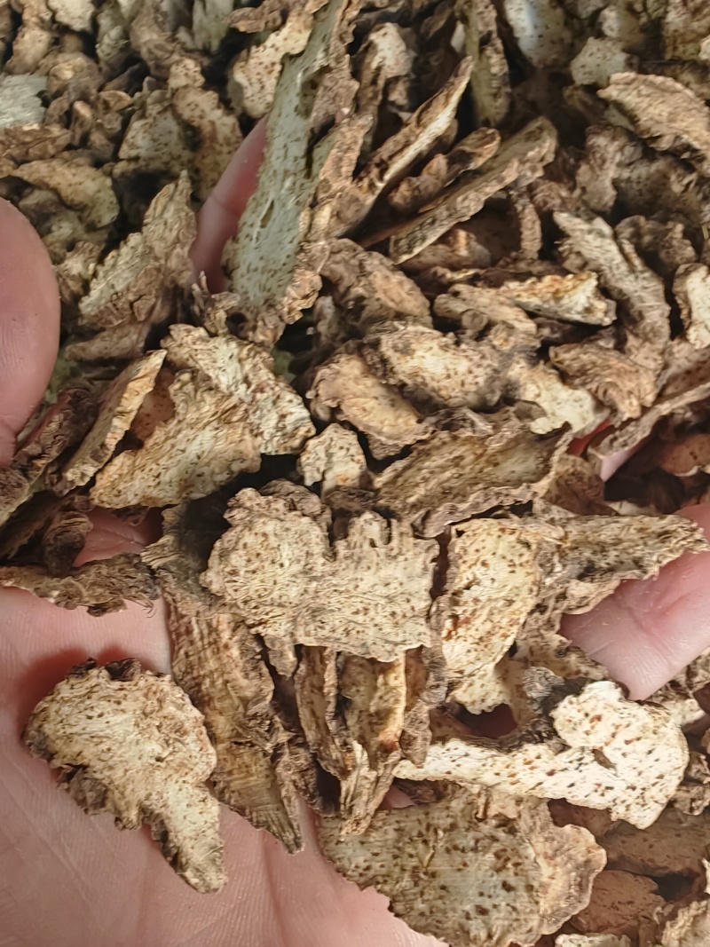 辽宁朱砂点苍术关苍术白茬苍术品种齐全