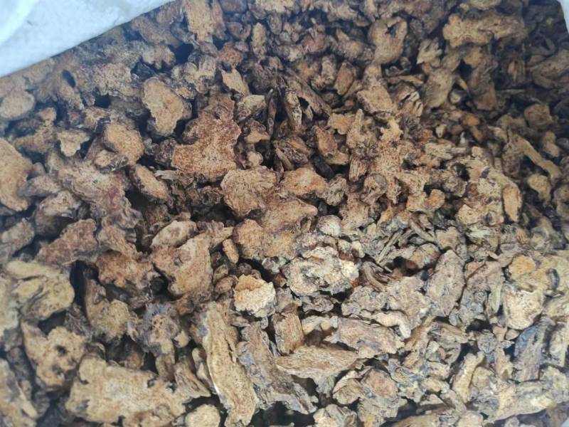 麸炒朱砂点苍术麸炒关苍术（白茬苍术）品质保障欢迎联系