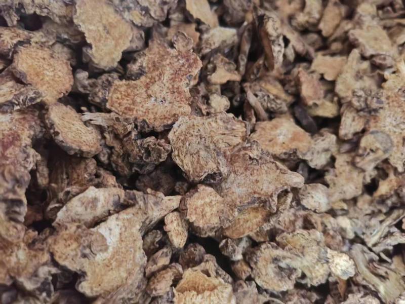麸炒朱砂点苍术麸炒关苍术（白茬苍术）品质保障欢迎联系