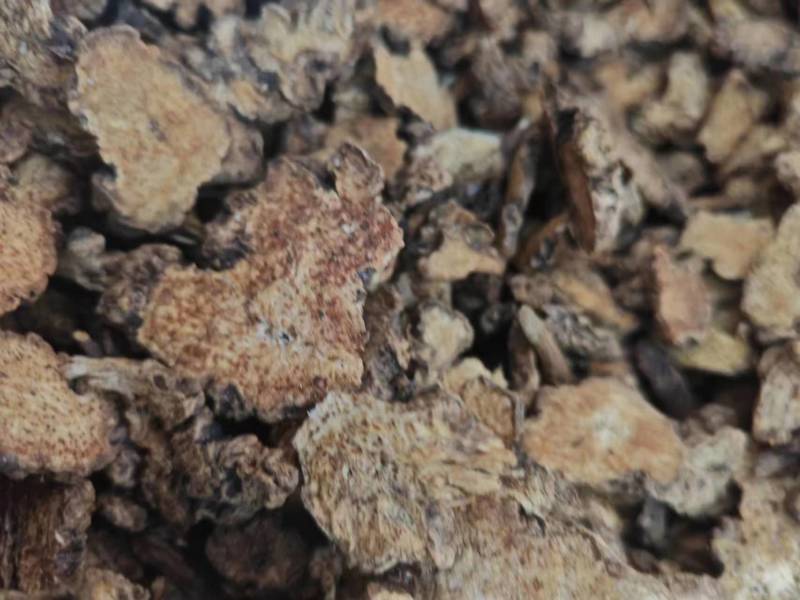麸炒朱砂点苍术麸炒关苍术（白茬苍术）品质保障欢迎联系
