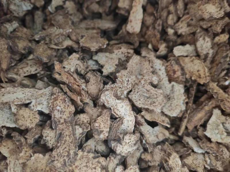 麸炒朱砂点苍术麸炒关苍术（白茬苍术）品质保障欢迎联系
