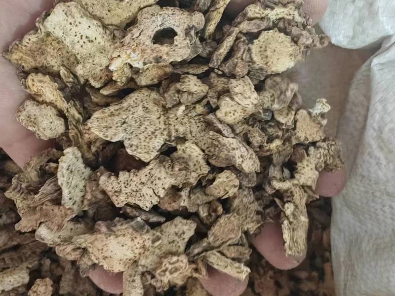 麸炒朱砂点苍术麸炒关苍术（白茬苍术）品质保障欢迎联系