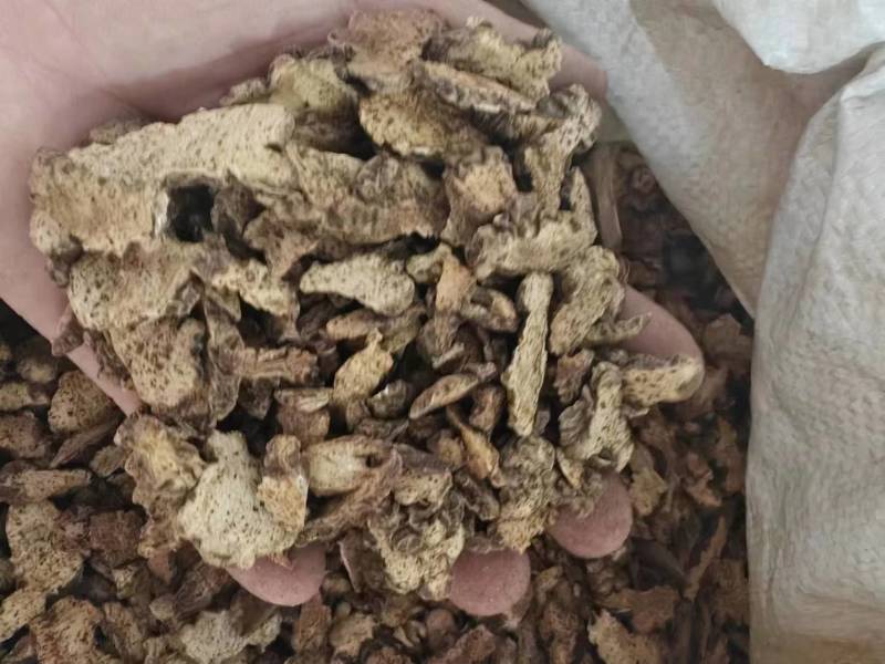 麸炒朱砂点苍术麸炒关苍术（白茬苍术）品质保障欢迎联系