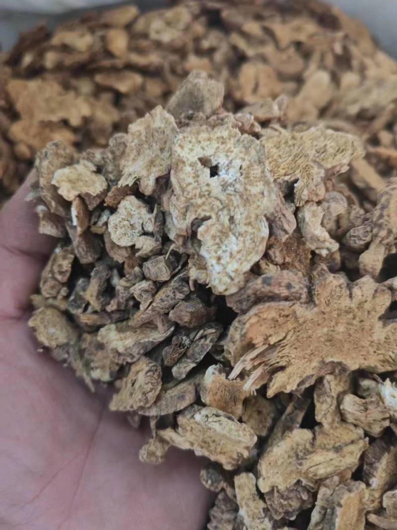 麸炒朱砂点苍术麸炒关苍术（白茬苍术）品质保障欢迎联系