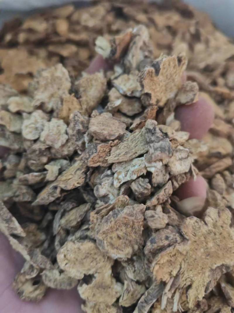 麸炒朱砂点苍术麸炒关苍术（白茬苍术）品质保障欢迎联系