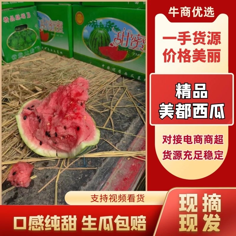 江苏盐城美都西瓜皮溥瓤脆甜美全国发货欢迎咨询