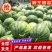 【陕西甜王】蒲城西瓜大量上市价格便宜瓤甜多汁提前预定