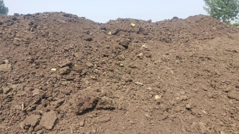 【鸡粪】山东泰安基地直供质量保证一手货源量大优惠